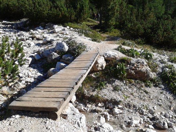 Bridge