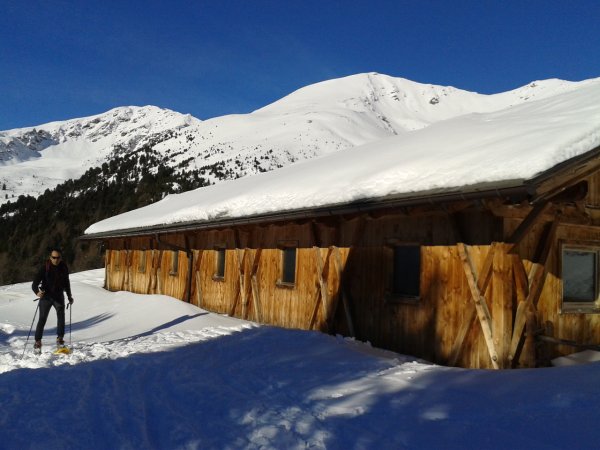 Hut
