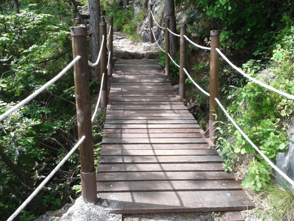 Bridge