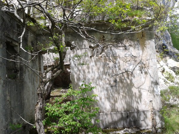 Ruin