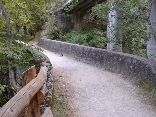 Bridge