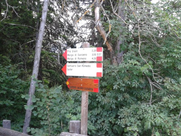 Indications