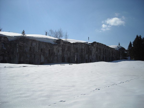 Fort