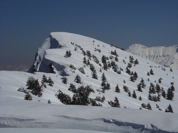 Summit