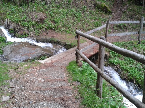 Bridge