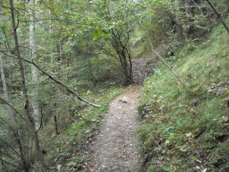 /treks/europe/it/tn/paganella/molveno/lago-di-molveno/ruderi/sentiero.jpg