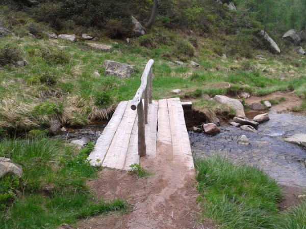 Wooden bridge
