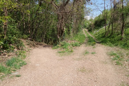 Bivio, leggermente a sinistra
