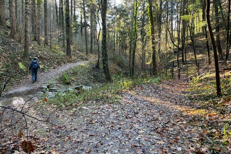 Bivio, leggermente a sinistra
