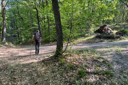 Bivio, leggermente a sinistra
