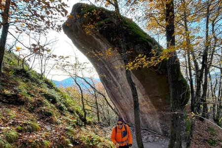 Rosszähne
Denti di Cavallo