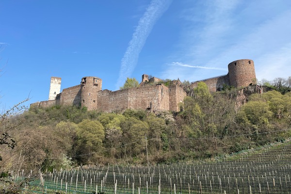 Sigmundskron
Castel Firmiano