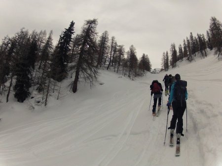Pista