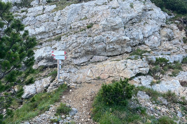 Bocca Lavinella
tenere la destra ma non troppo
cordino