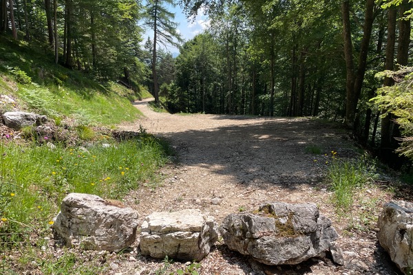 Inizio strada forestale
