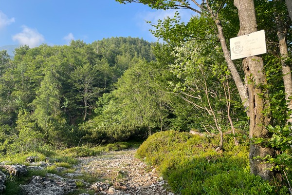 Località Col de la Caora
