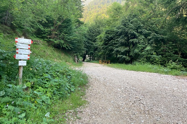 Località Lavina Granda
bivio dritto