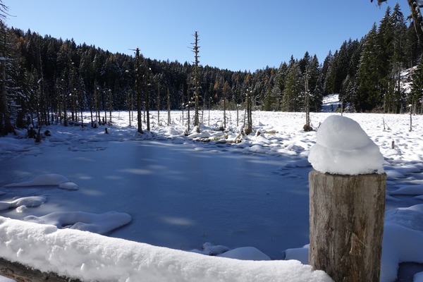 Biotop Weisssee
Biotopo Lago Bianco
