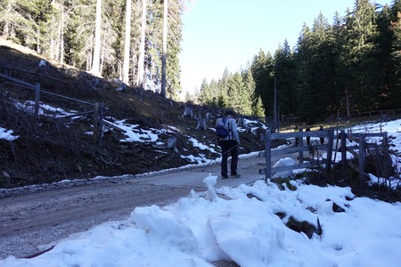 Bivio destra
poi dritto