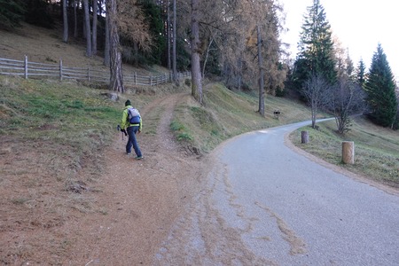 Bivio dritto
poi deviazione sinistra