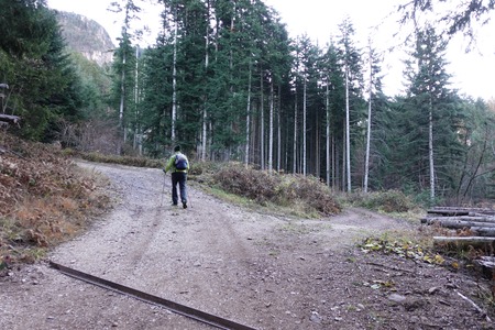 Bivio sinistra
poi destra