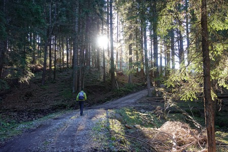 Camminando nel bosco
verso Oberradein