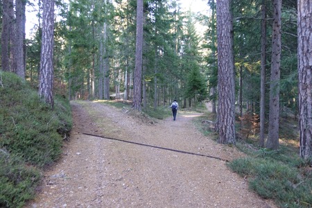 Bivio destra
Bivio destra