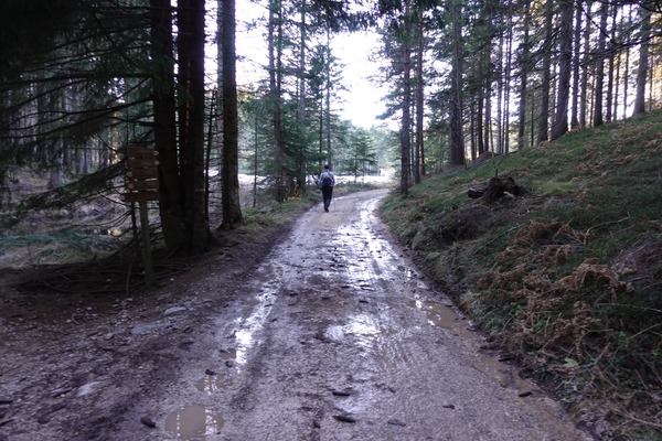 Bivio destra
Bivio destra