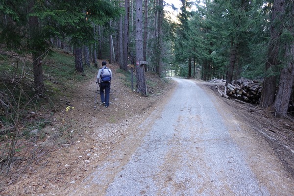 Bivio sinistra
Bivio sinistra