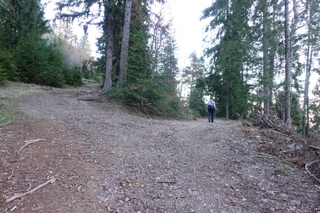 Bivio
tenere la destra Bivio
tenere la destra