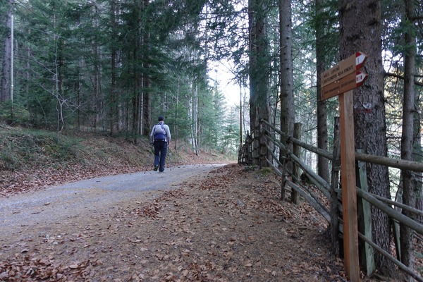 Confluenza destra
Confluenza destra