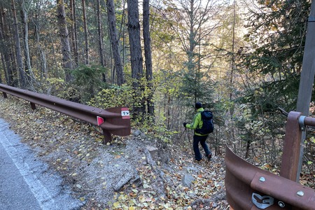 Deviazione destra
Deviazione destra