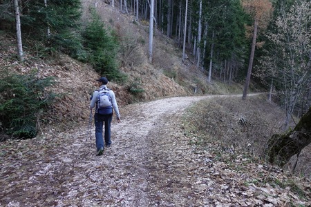 20211120_154455_s
20211120_154455_s