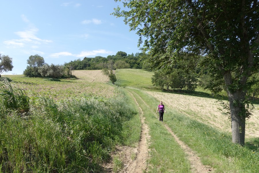Valle dell'Aspio
