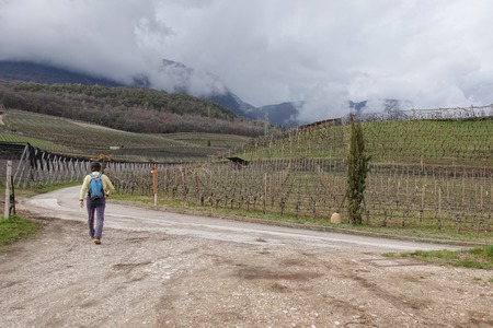 Bivio leggermente sinistra
