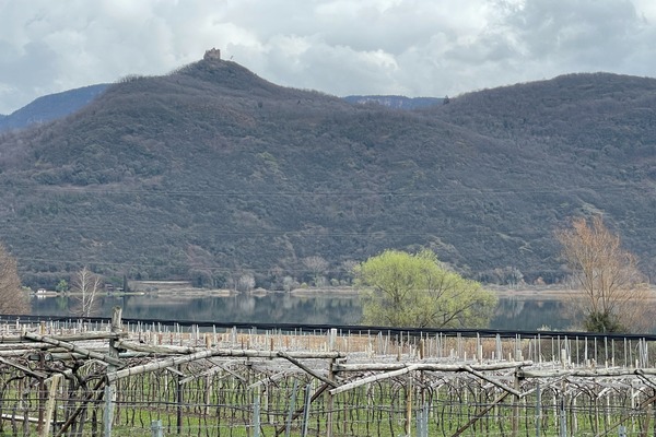 Lago di Caldaro
Kalterer See