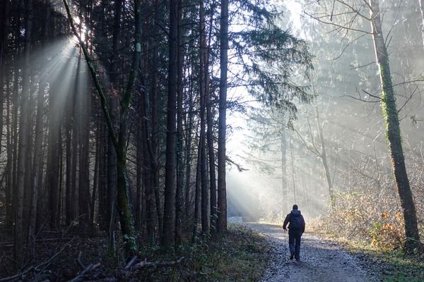 Nel bosco
lungo il sentiero per Monticolo