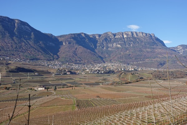 Caldaro e Monte Penegal
visti dai pressi del Lago di Caldaro