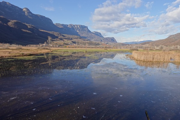 Lago di Caldaro
biotopo, visto dal punto di osservazione