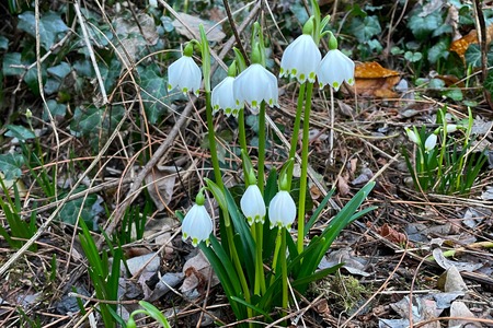 20240214_081742_i_cropped
