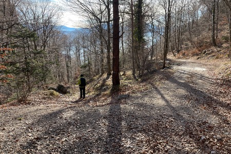 Bivio sinistra
in alternativa dritti